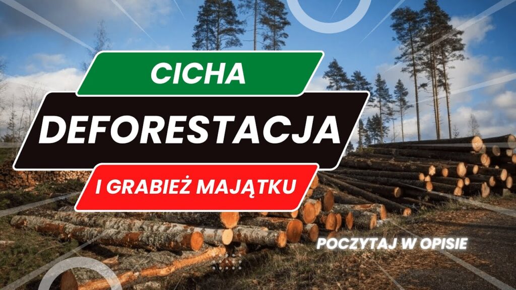 Warszawski nierząd wycina i oddaje Polskie lasy | BRAK SŁÓW